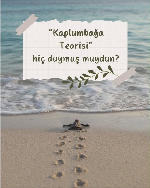 Instagram post by Zeynep Ak Eğilmez, 9 September 2026