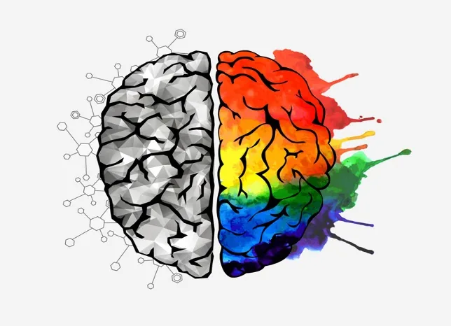 EMDR Terapisi – Uzm. Kl. Psk. Zeynep Ak Eğilmez
